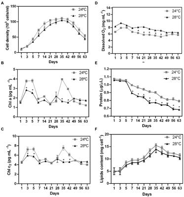 Insights on the biochemical and cellular changes induced by heat stress in the Cladocopium isolated from coral Mussismilia braziliensis